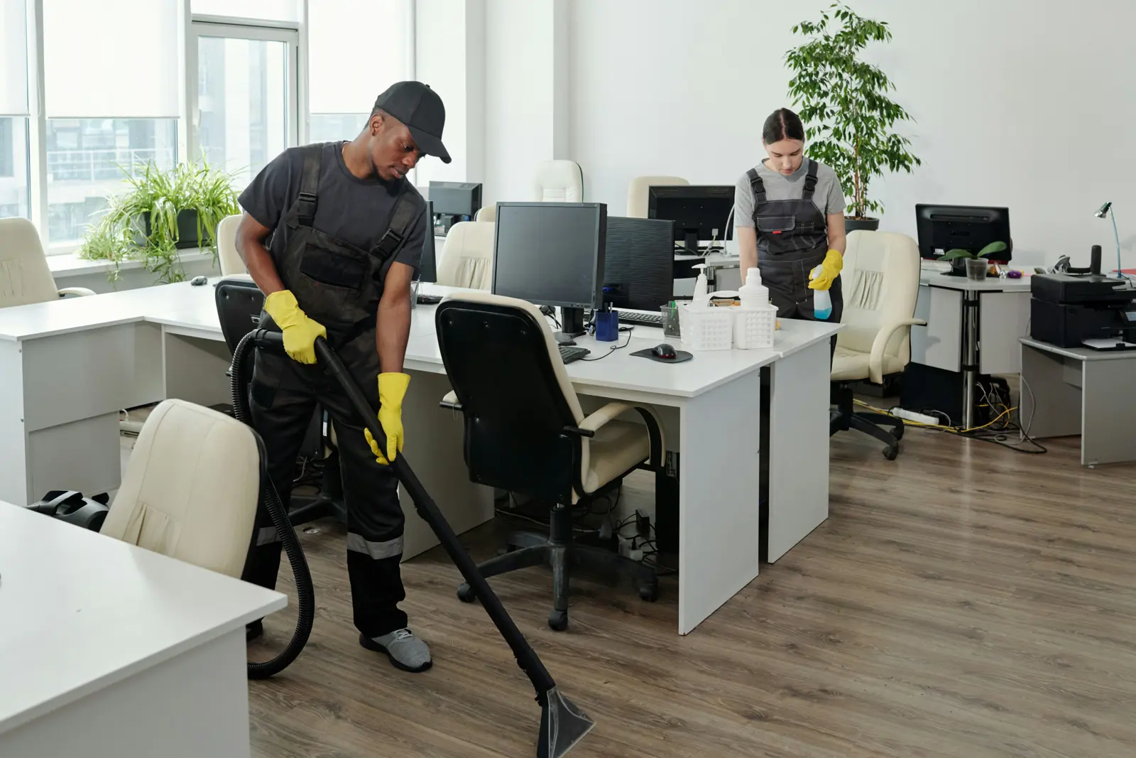 Domestic cleaning team at work